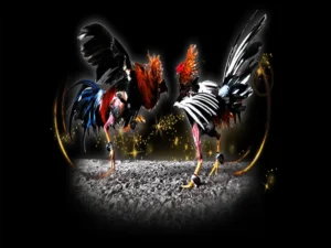 Bí Quyết Chơi Đá Gà Sabong Tại 2Bong88 Luôn Thắng Từ Cao Thủ